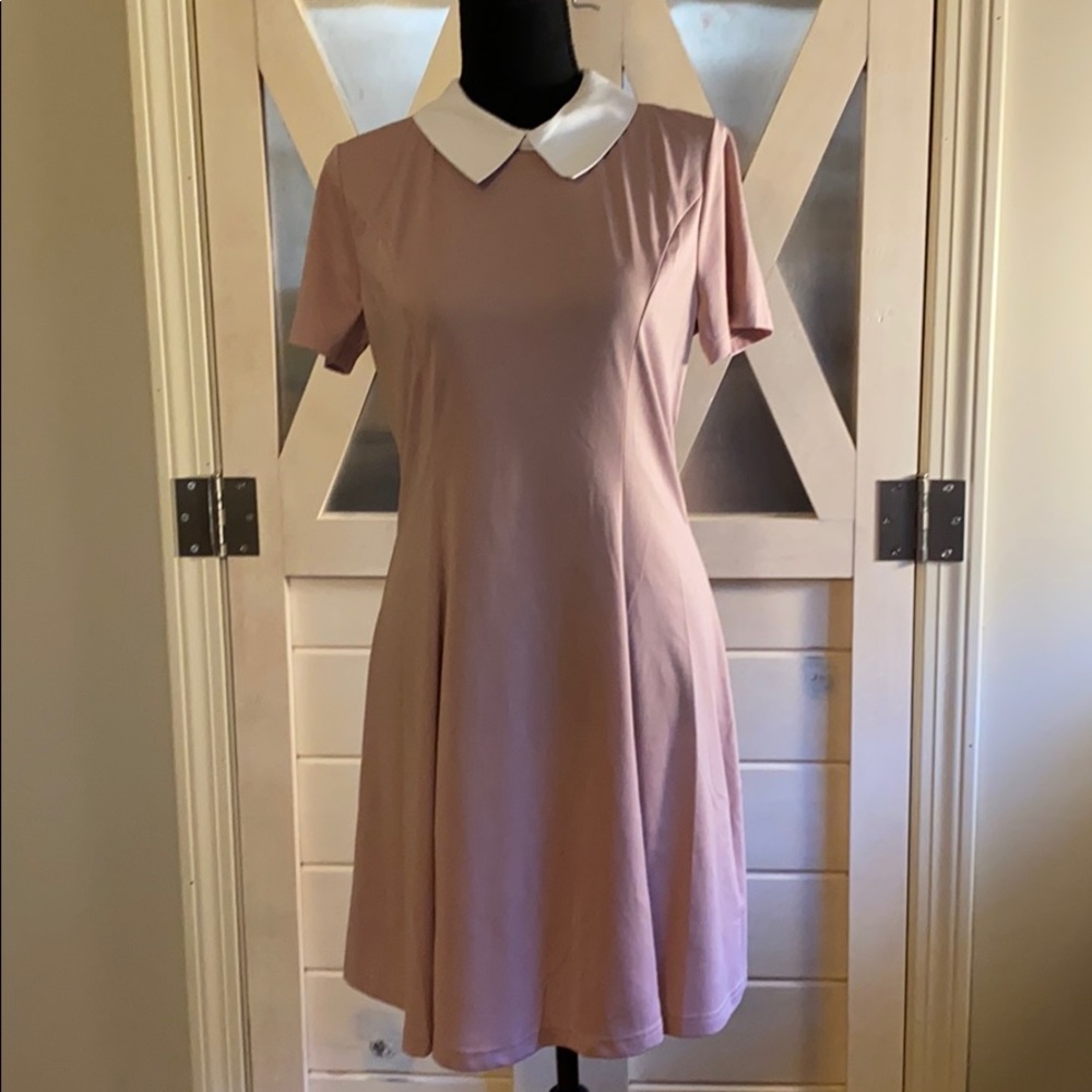 NWT Blush pink dress